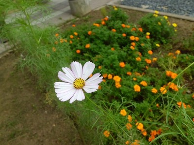 t2015.9.14 1.jpg